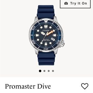 Citizen Promaster Dive watch